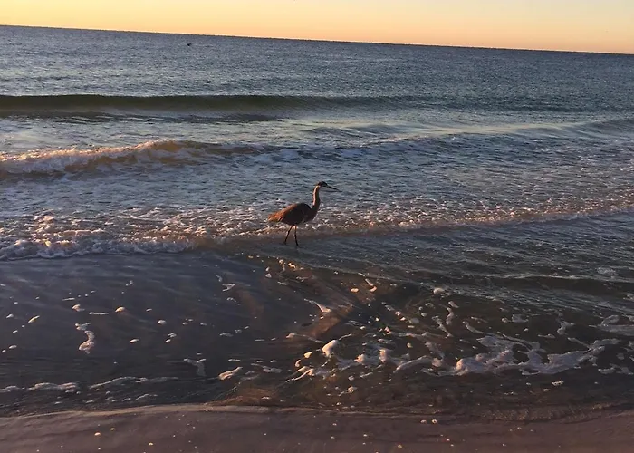 Barefoot Bliss